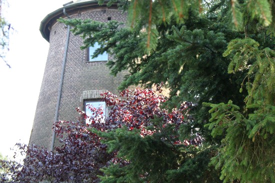 Rckseite mit zustzlichen Fenstern